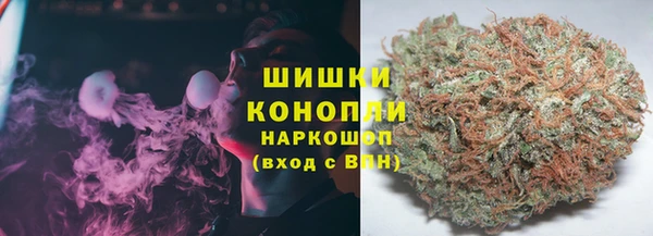 индика Вязники